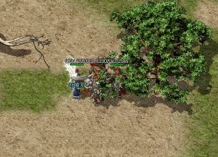 1.76 legend SF帮会管理规则