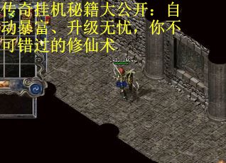 传奇挂机秘籍大公开：自动暴富、升级无忧，你不可错过的修仙术