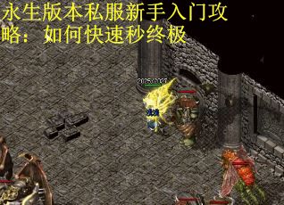 永生版本私服新手入门攻略：如何快速秒终极