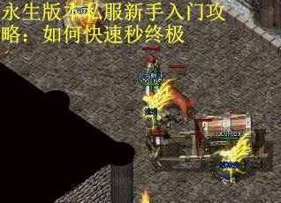 永生版本私服新手入门攻略：如何快速秒终极