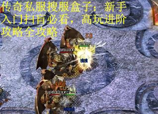 传奇私服搜服盒子：新手入门扫盲必看，高玩进阶攻略全攻略