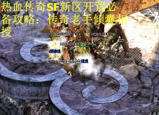 热血传奇SF新区开荒必备攻略：传奇老手倾囊相授