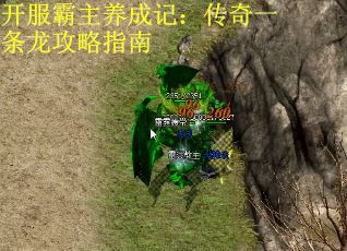 开服霸主养成记：传奇一条龙攻略指南