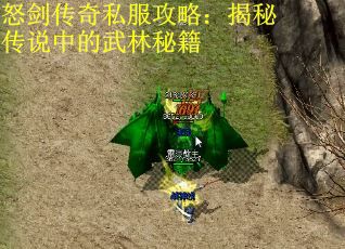 怒剑传奇私服攻略：揭秘传说中的武林秘籍