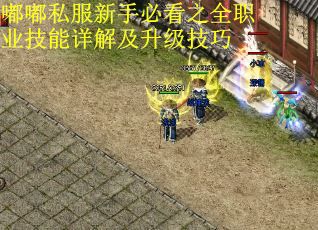 嘟嘟私服新手必看之全职业技能详解及升级技巧