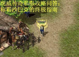 虎威传奇私服攻略问答：称霸沙巴克的终极指南
