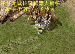 赤月龙城传奇秘籍大揭秘：新手指南，一飞冲天