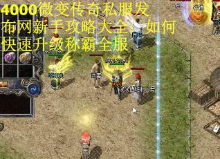 4000微变传奇私服发布网新手攻略大全：如何快速升级称霸全服