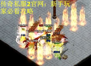 传奇私服2官网：新手玩家必看攻略