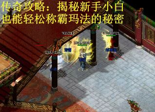 传奇攻略：揭秘新手小白也能轻松称霸玛法的秘密