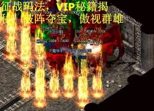 征战玛法，VIP秘籍揭秘：破阵夺宝，傲视群雄