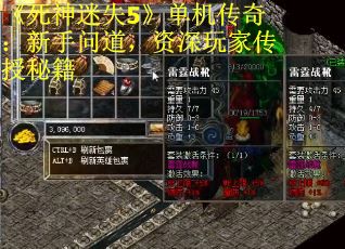《死神迷失5》单机传奇：新手问道，资深玩家传授秘籍