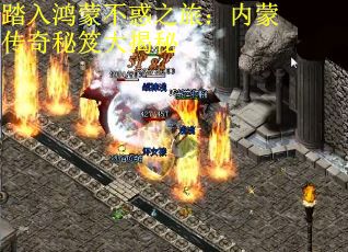 踏入鸿蒙不惑之旅：内蒙传奇秘笈大揭秘