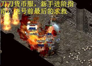 刀刀货币服，新手进阶指南：烧号前最后的求救