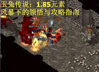 玉兔传说：1.85元素风暴下的领悟与攻略指南