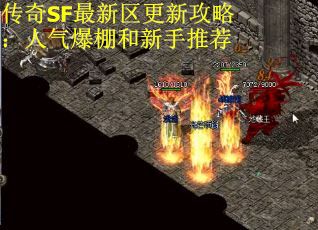传奇SF最新区更新攻略：人气爆棚和新手推荐