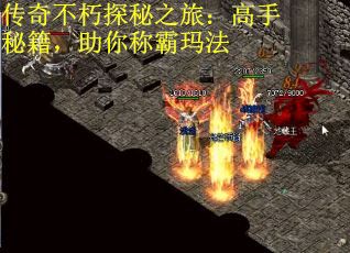 传奇不朽探秘之旅：高手秘籍，助你称霸玛法