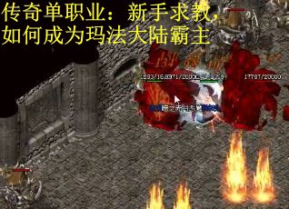 传奇单职业：新手求教，如何成为玛法大陆霸主