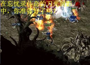 在忘忧录传奇的刀光剑影中，你准备好了吗？