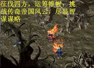 征伐四方，运筹帷幄：挑战传奇帝国风云，尽显智谋谋略