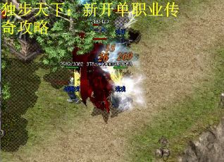 独步天下：新开单职业传奇攻略