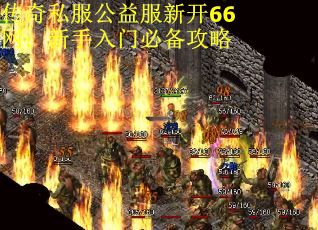 传奇私服公益服新开66网：新手入门必备攻略