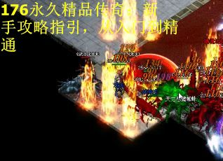 176永久精品传奇：新手攻略指引，从入门到精通