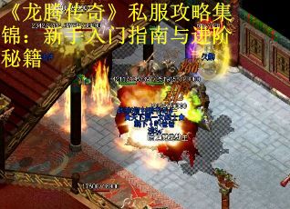 《龙腾传奇》私服攻略集锦：新手入门指南与进阶秘籍