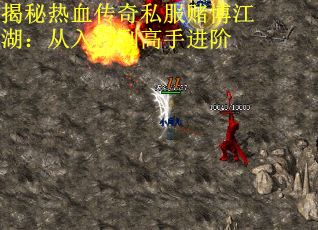 揭秘热血传奇私服赌博江湖：从入门到高手进阶
