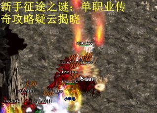 新手征途之谜：单职业传奇攻略疑云揭晓