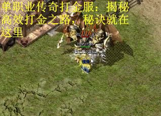 单职业传奇打金服：揭秘高效打金之路，秘诀就在这里