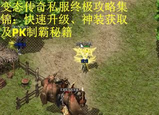 变态传奇私服终极攻略集锦：快速升级、神装获取及PK制霸秘籍