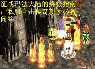 征战玛法大陆的终极指南：私服合击传奇新手必备问答