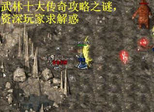 武林十大传奇攻略之谜，资深玩家求解惑