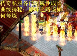 传奇私服各门派属性成长曲线揭秘：巅峰之路该如何修炼