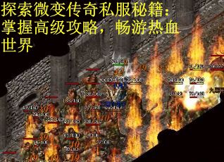 探索微变传奇私服秘籍：掌握高级攻略，畅游热血世界