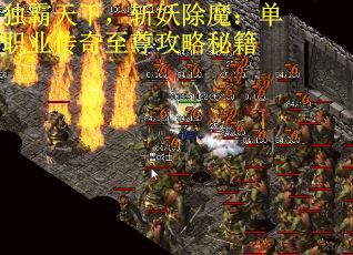 独霸天下，斩妖除魔：单职业传奇至尊攻略秘籍