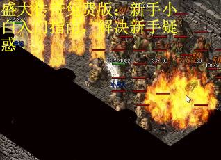 盛大传奇免费版：新手小白入门指南，解决新手疑惑