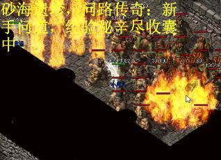 砂海遗珍，问路传奇：新手问道，经验秘辛尽收囊中