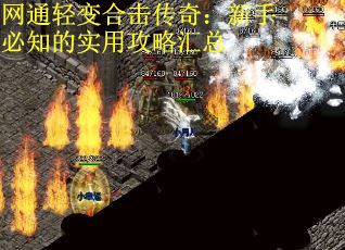 网通轻变合击传奇：新手必知的实用攻略汇总
