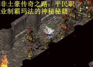 非土豪传奇之路：平民职业制霸玛法的神秘秘籍