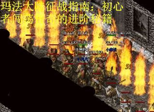 玛法大陆征战指南：初心者闯荡传奇的进阶秘籍