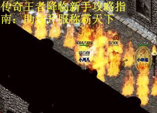 传奇王者降临新手攻略指南：助你开服称霸天下
