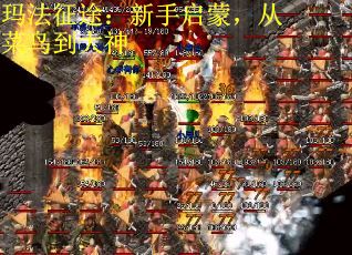 玛法征途：新手启蒙，从菜鸟到大神
