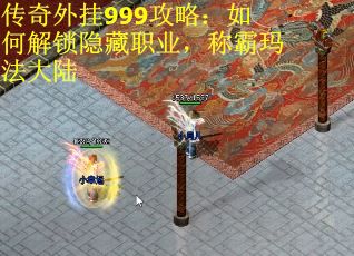 传奇外挂999攻略：如何解锁隐藏职业，称霸玛法大陆