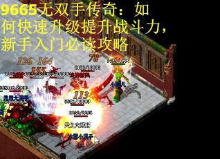9665无双手传奇：如何快速升级提升战斗力，新手入门必读攻略