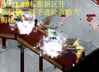 传奇1.80私服新区开服秘籍：新手进阶攻略大揭秘