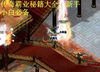 传奇霸业秘籍大全：新手小白必备