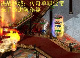 决战沙城：传奇单职业带宠手游进阶秘籍