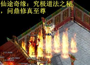 仙途奇缘：究极道法之秘，问鼎修真至尊
